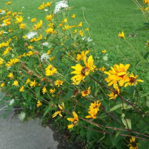 Every Offer is Considered 🐸 - Picture 2 of 7